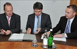 Die ersten Königspartner 