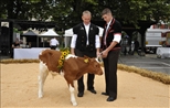 Kornhausmesse 2010