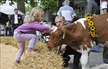Kornhausmesse 2010